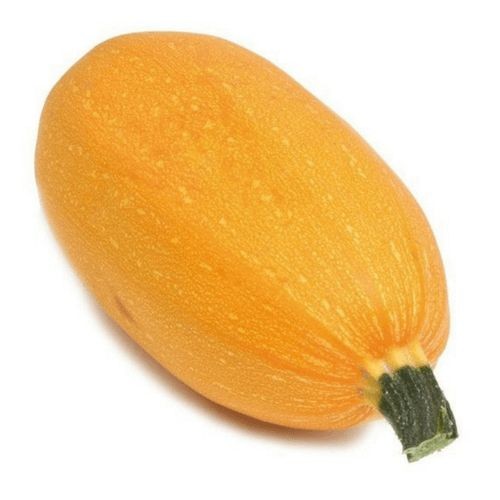 ���� �����