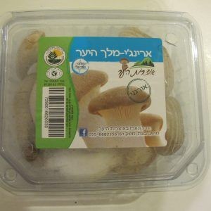 פטריות ארינג'י מלך היער פטריות ארינג'י מלך היער