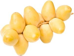 תמר צהוב סנסנים תמר צהוב סנסנים