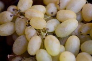 ענבים ירוקים ענבים ירוקים