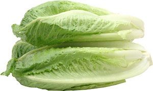 ����� ���